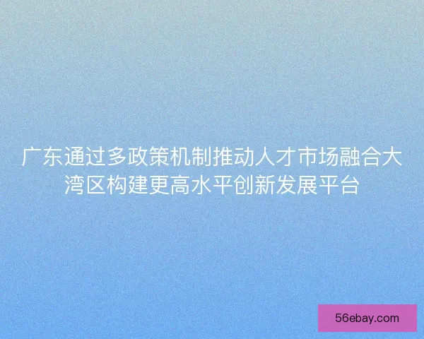 广东通过多政策机制推动人才市场融合大湾区构建更高水平创新发展平台