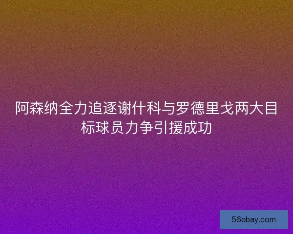 阿森纳全力追逐谢什科与罗德里戈两大目标球员力争引援成功